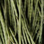 Buy Moringa oleifera - Live Plant Online Shopping for Sale