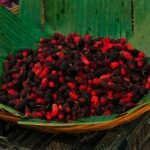 Buy Morus alba - Live Plant Online Shopping for Sale