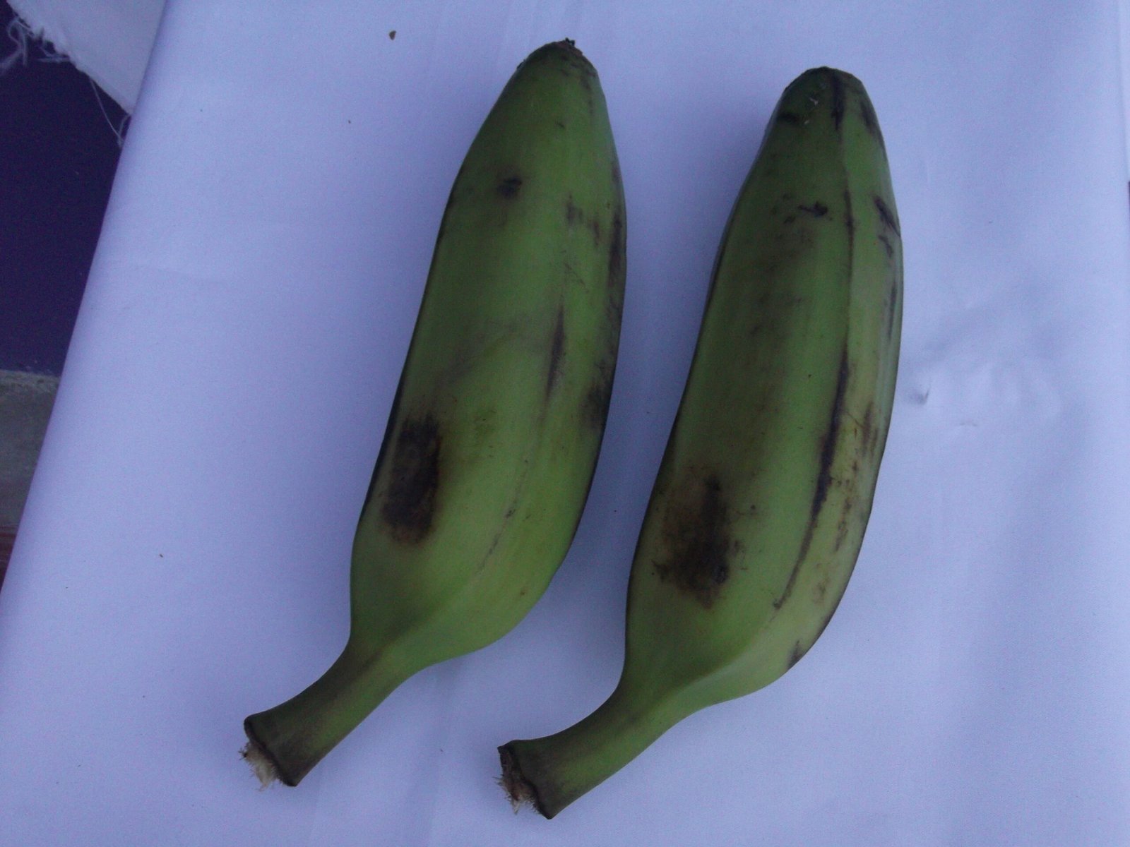 Musa_paradisiaca-yercaud-salem-India-scaled-1.jpg Buy Musa paradisica - Live Plant Online Shopping for Sale - Image 1