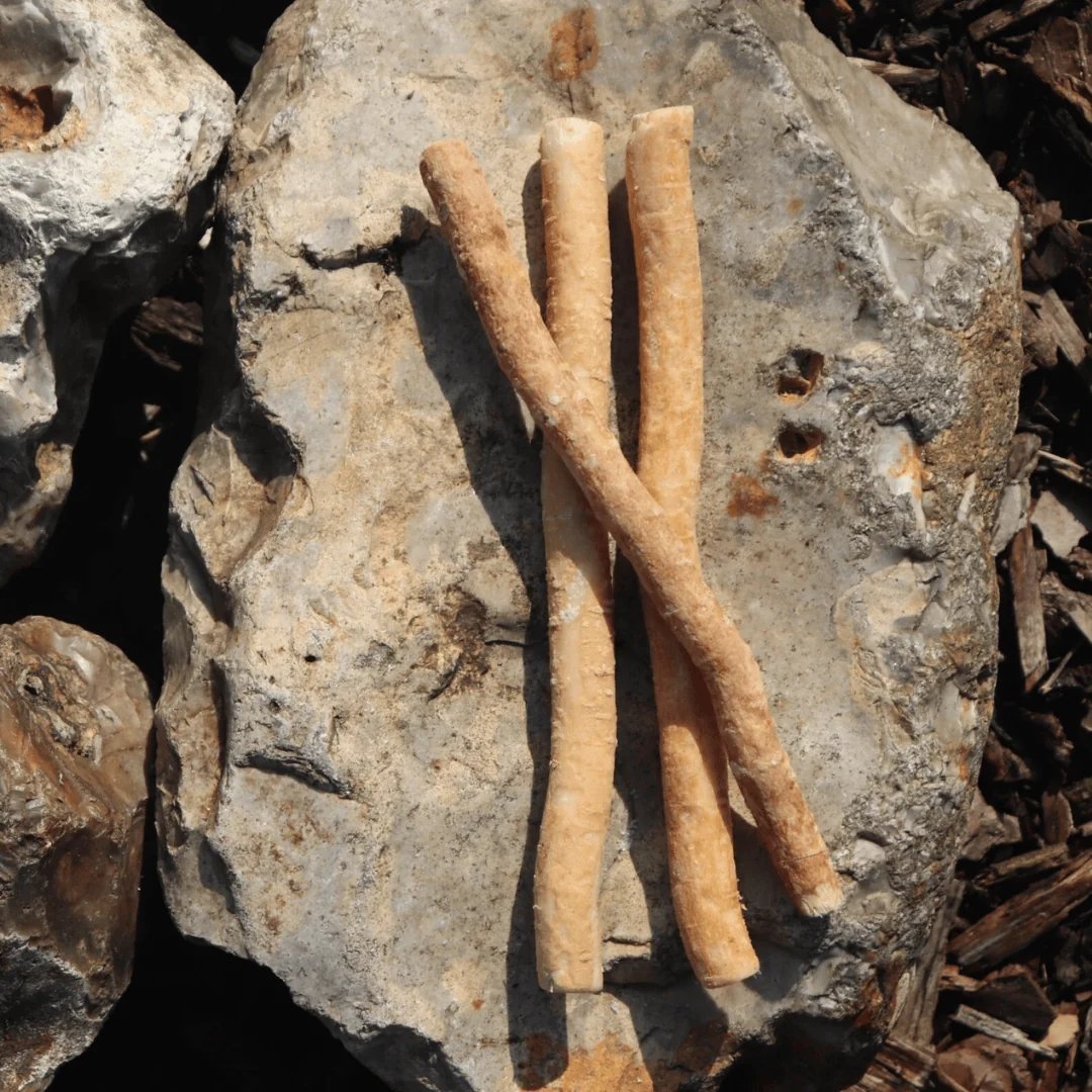 Muthuga_stick.jpg Buy Muthuga stick, muthuka stick, मुथुका, dandi
sanyasi stick - 3 to 4 feet stick - Online Shopping for Sale - Image 1