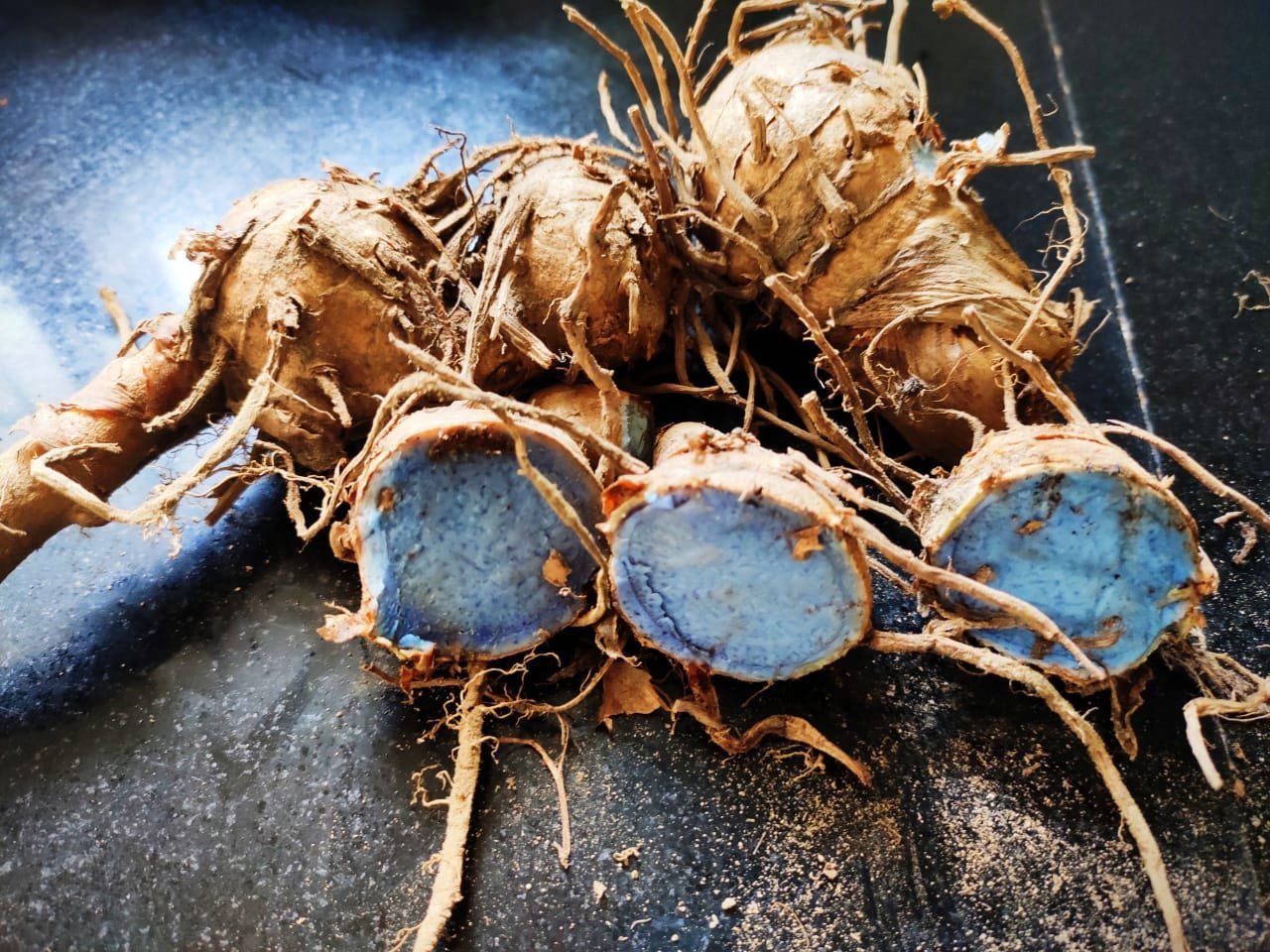 WhatsApp-Image-2022-01-13-at-13.48.58.jpeg Buy curcuma caesia, Black turmeric, karumanjal, kali haldi, கருமஞ்சள் - 1KG FRESH rhizome - Online Shopping for Sale - Image 1