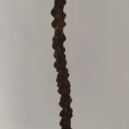 thin yerusingi stick-2nos