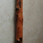Raktha boothalam 1 feet stick