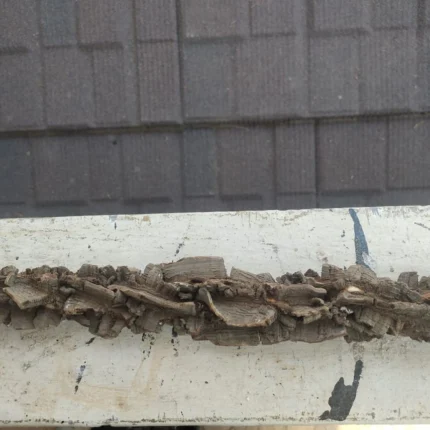 ugraboothalam stick